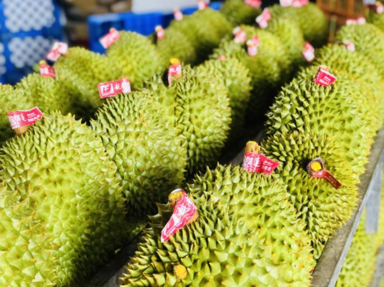 Ảnh màn hình 2024-06-28 lúc 09.26