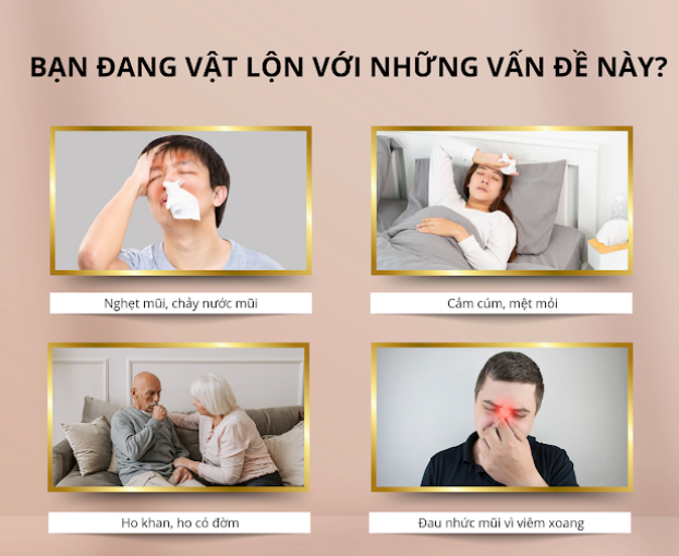 Thảo mộc Xông Tắm Xoang Cảm (Túi 6 lần) - Hình ảnh 5