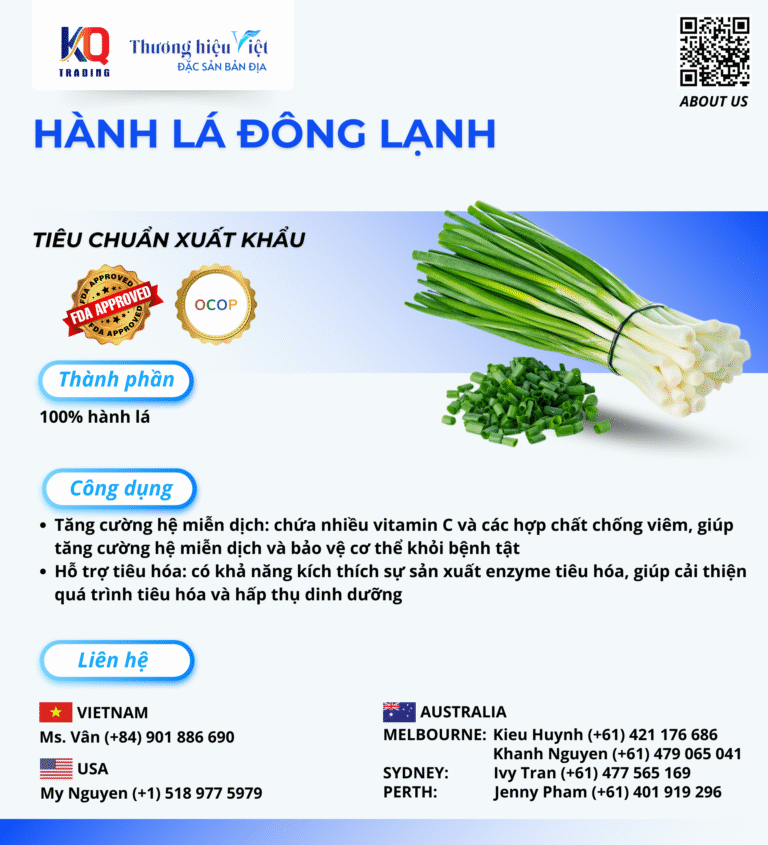CATALOGUE GTC (1)